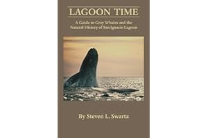 Lagoon Time: A Guide to Grey Whales and the Natural History of San Ignacio Lagoon