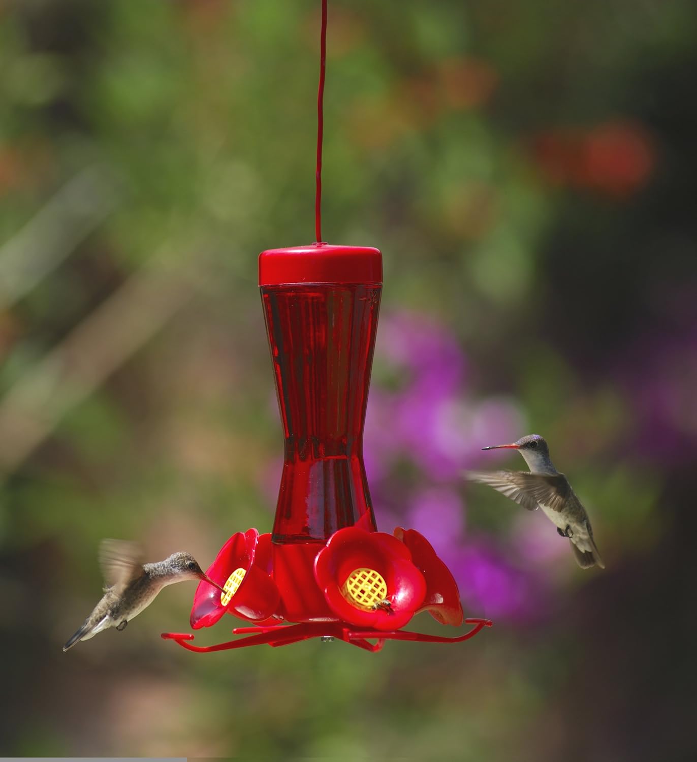 nectar perky recipe pet hummingbird Hummzinger Feeder Wiring Hummingbird 367 Aspects Ultra nectar perky recipe pet hummingbird Hummzinger Feeder Wiring Hummingbird 367 Aspects Ultra