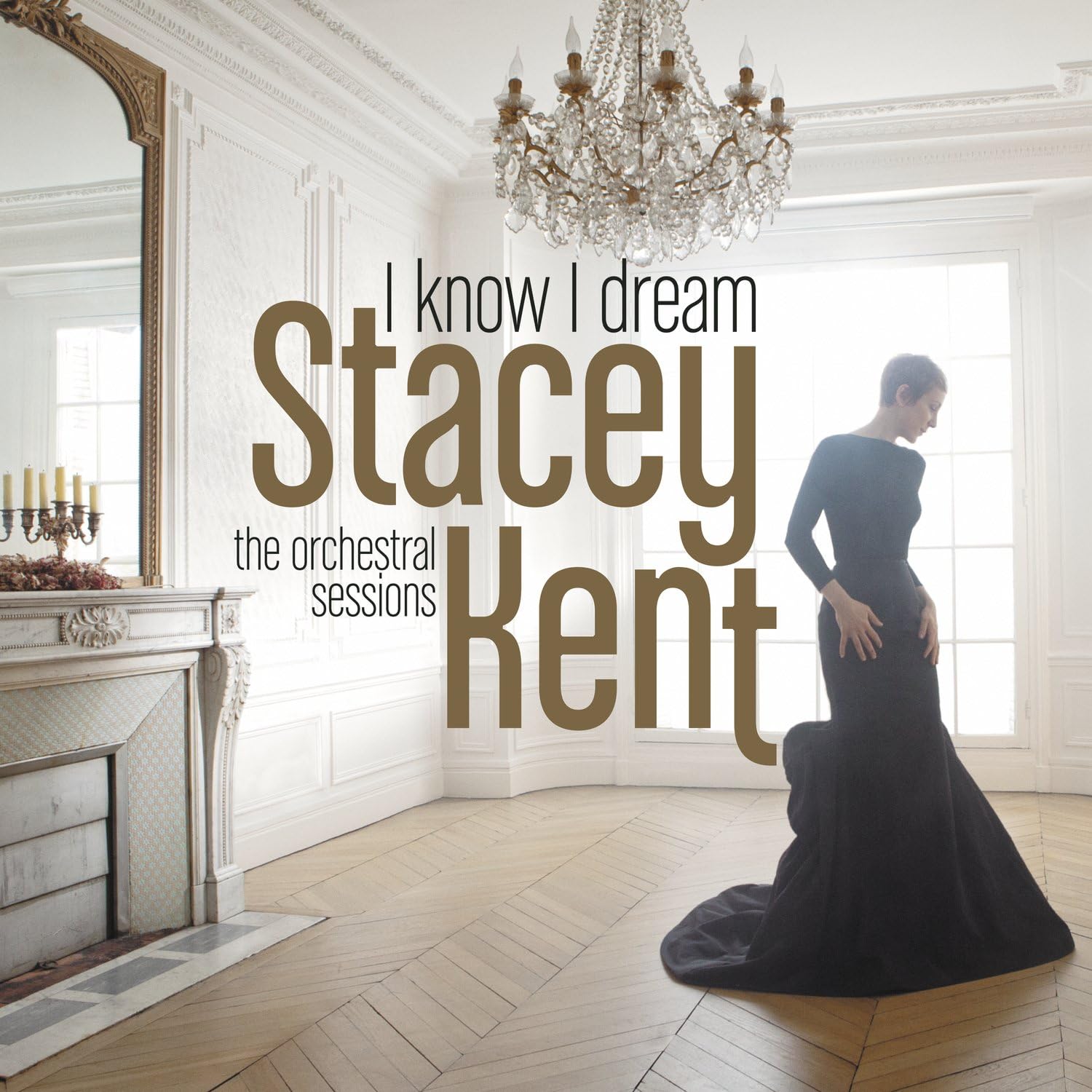 I Know I Dream : The Orchestral Sessions [VINYL]