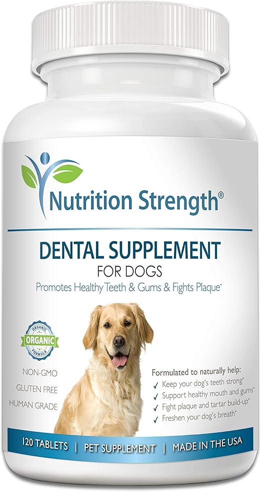 teeth care for dogs