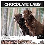 MICASA PRESS - Chocolate Labs 2025 Wall Calendar 12