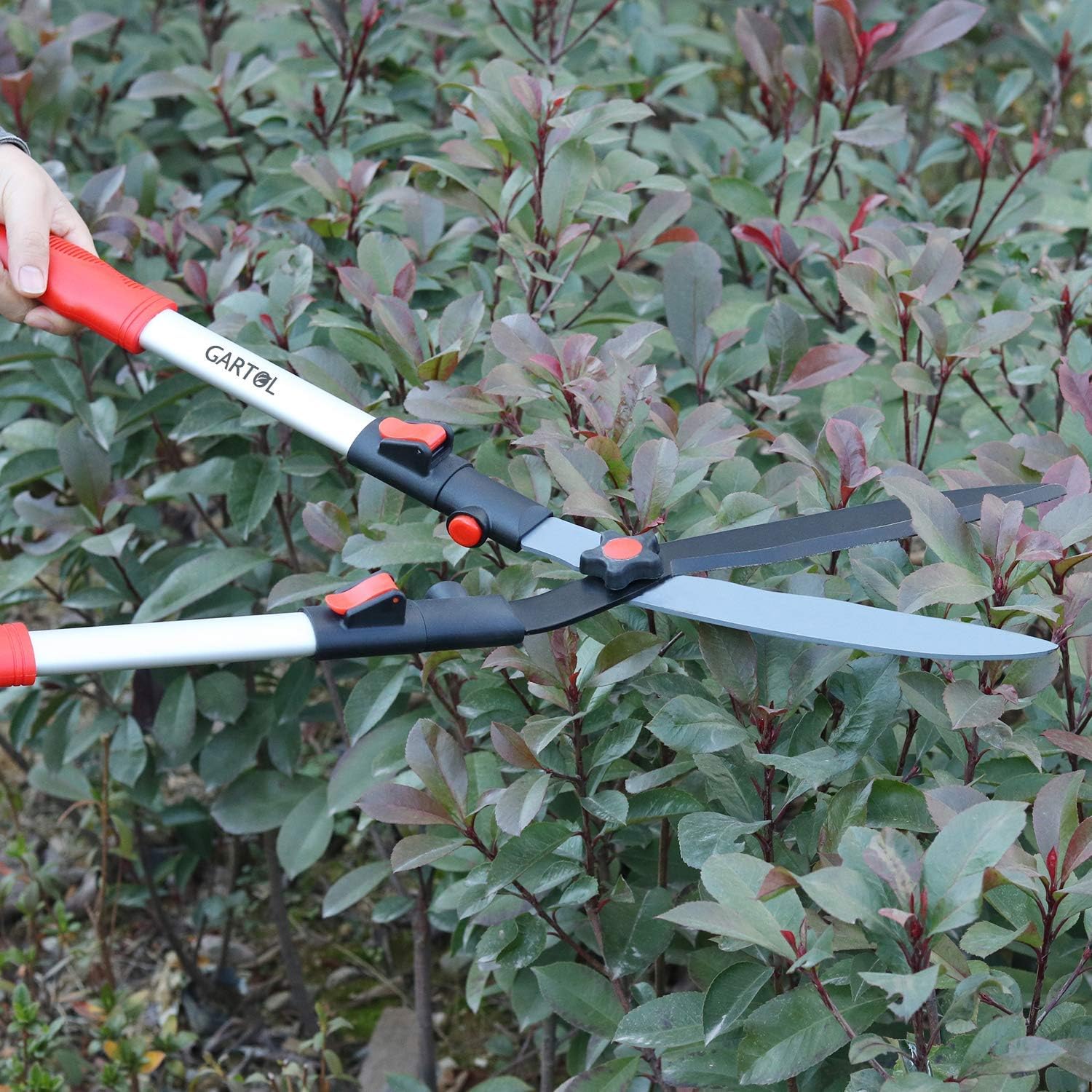 GARTOL Extendable Handle Hedge Shears with Adjustable Length Handle, 9inch Wavy Sk5 Blade, Shock-Absorbing Bumpers and Blade Tension Control Knob, Garden Hedge Pruning Shears Trimmers Clippers : Garden & Outdoor