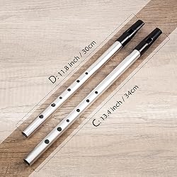 VixxNoxx Irish Tin Whistle in C Key with Music Book