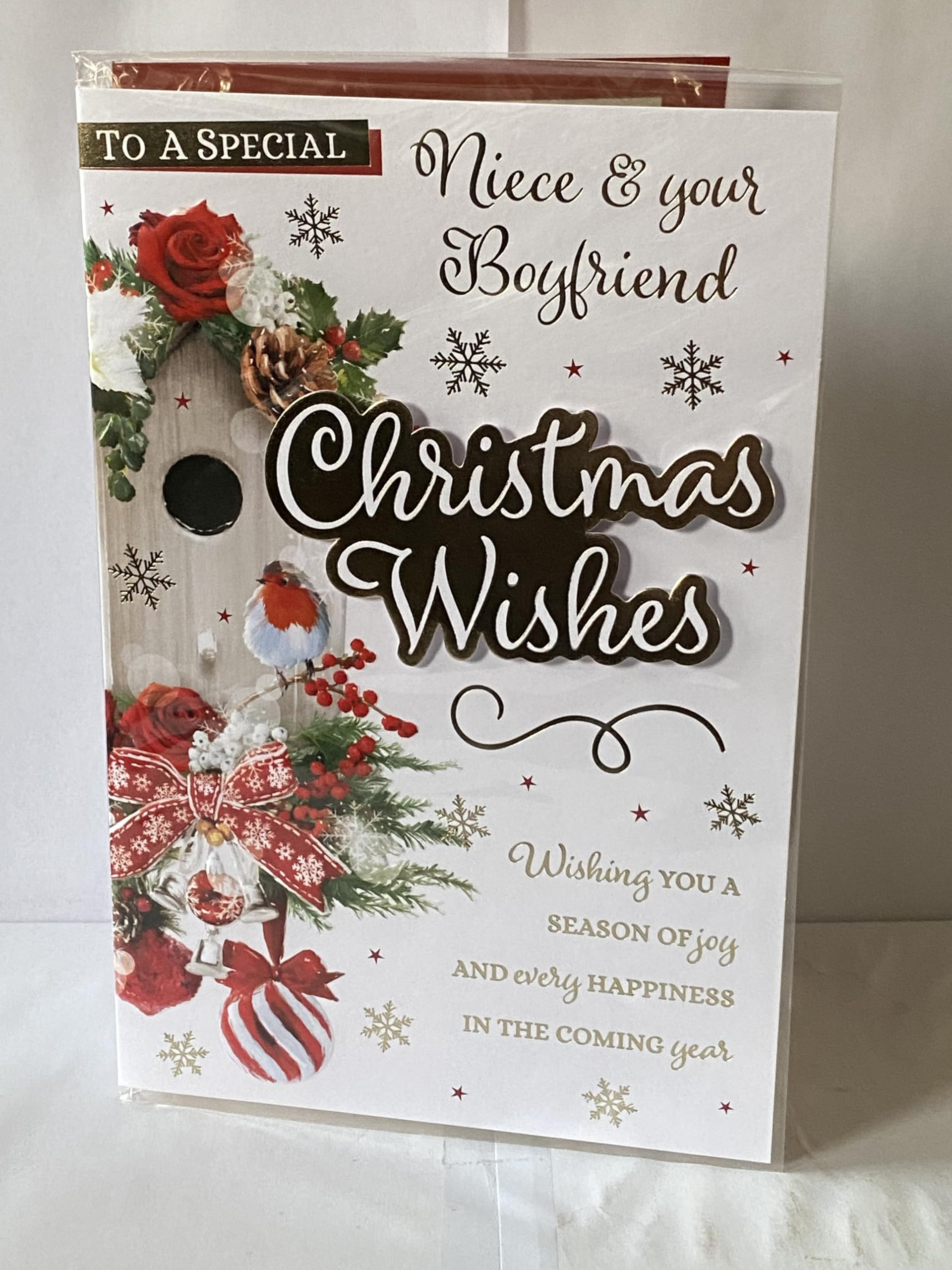 To A Special Niece & Your Boyfriend Christmas Wishes Christmas Card Robin/Birdhouse/Gold Words 3D/Foil Detail(PRELUDE46232)