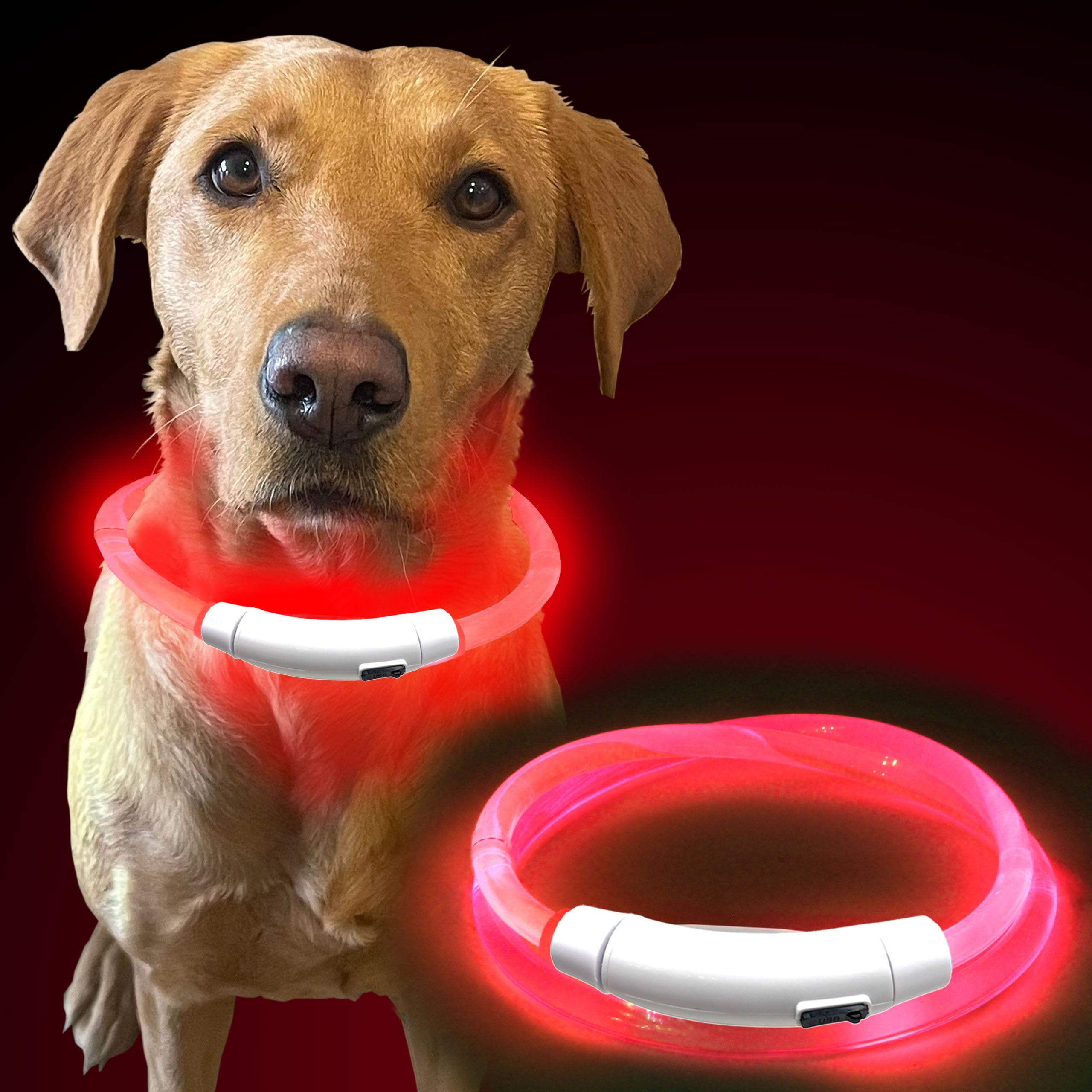 Murr LED Dog Collar Light | Rechargeable Flashing Dog Collars for Dark & Night Walking | USB Light Up Dog Collar for Dogs | Waterproof Safety Collar Lights – Red