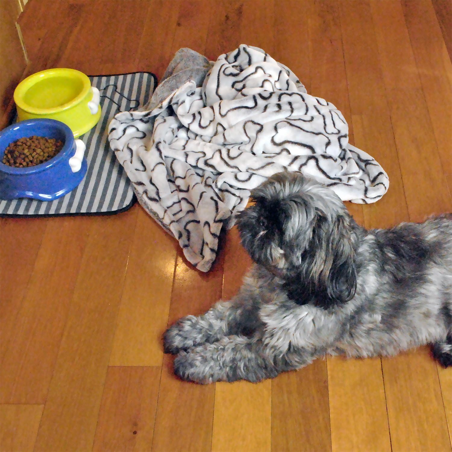 DII Bone Dry Microfiber Pet Blanket for Dogs and Cats, 36x48", Warm, Soft and Plush for Couch, Car, Trunk, Cage, Kennel, Dog House-Navy : Pet Supplies