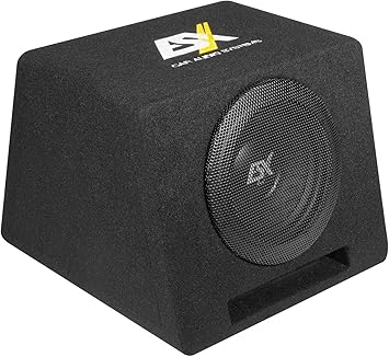ESX DBX108Q DBX-108Q - Caja para subwoofer (20 cm): Amazon.es: Electrónica
