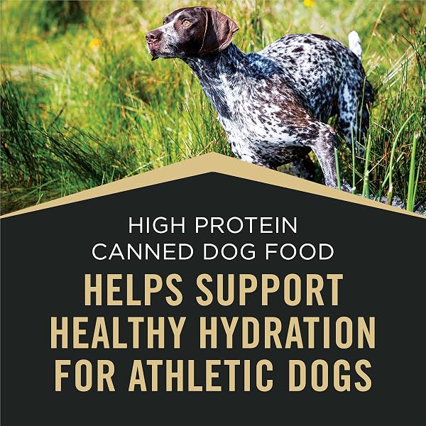 PURINA PRO PLAN SPORT HIGH PROTEIN WET DOG FOOD, BEEF AND BISON ENTRÉE AND TURKEY, DUCK AND QUAIL ENTRÉE VARIETY PACK – (PACK OF 12) 13 OZ. CANS