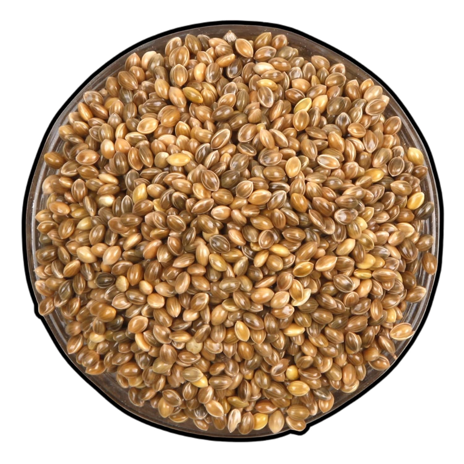 Buy The LINE Bird Green Millet Natural and Healthy Seed for Small