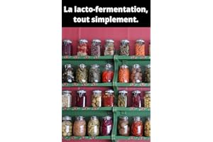 La lacto fermentation tout simplement (French Edition)