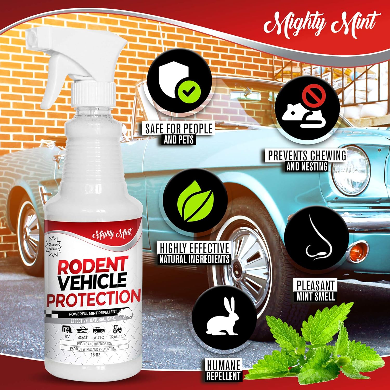 Mighty Mint Rodent Repellent Spray for Vehicle Engines and Interiors - Cars, Trucks, RVs, Boats : Garden & Outdoor