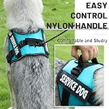 Belababy Soft No Pull Dog Harness Medium Reflective Breathable Adjustable view 5