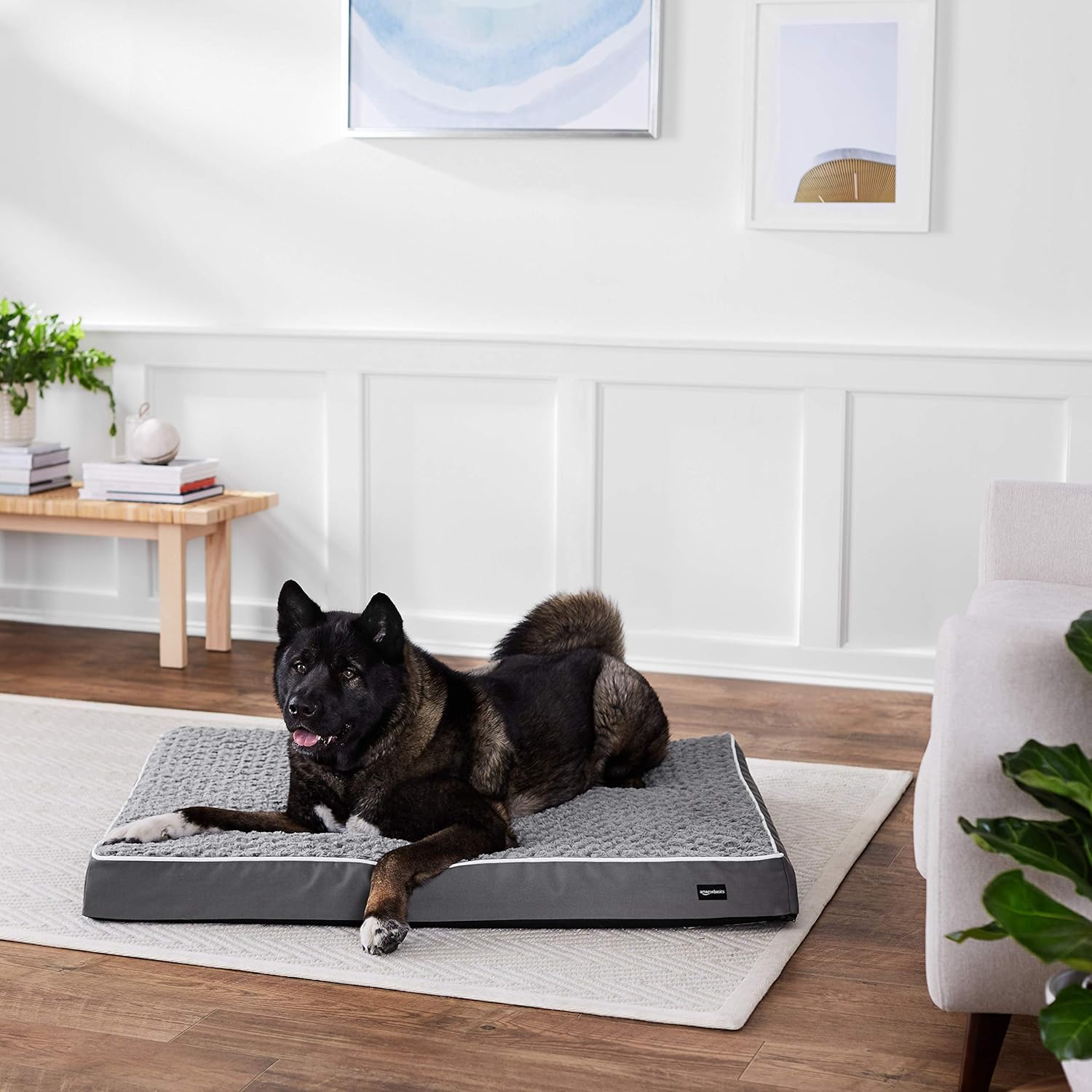 Perros Basics Cama para mascota de espuma ergonómica 68,6 x 91 cm Productos para mascotas Perros Basics Cama para mascota de espuma ergonómica 68,6 x 91 cm Productos para mascotas