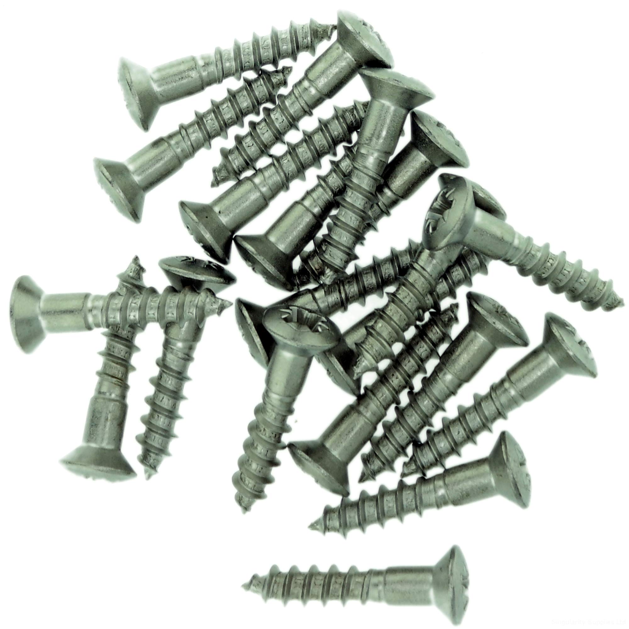 No.6 x 1.18 (3.5mm x 30mm) Pozi Raised Countersunk Wood Screw - Stainless Steel (A2) (Pack of 20)