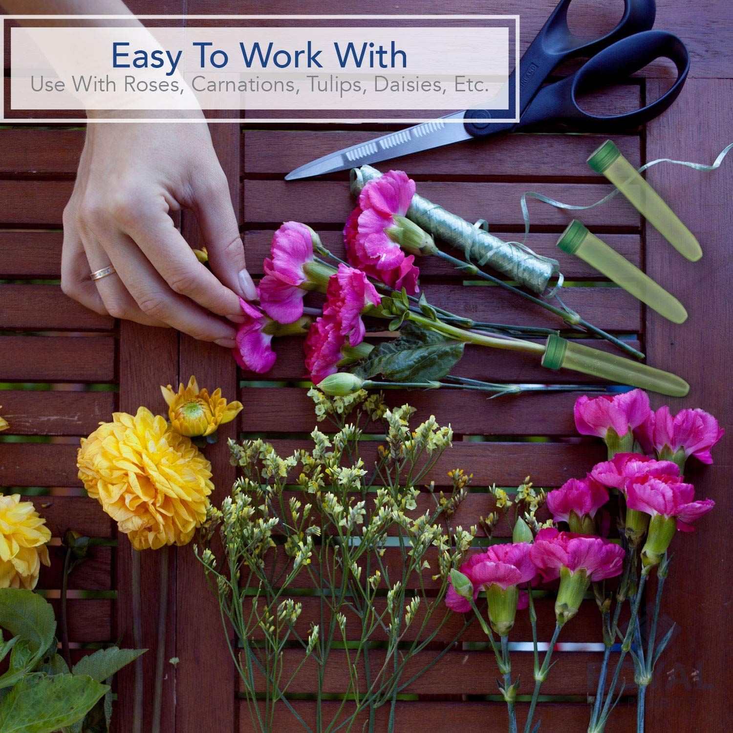 15+ Best New Stem Holders For Flowers Ritual Arte