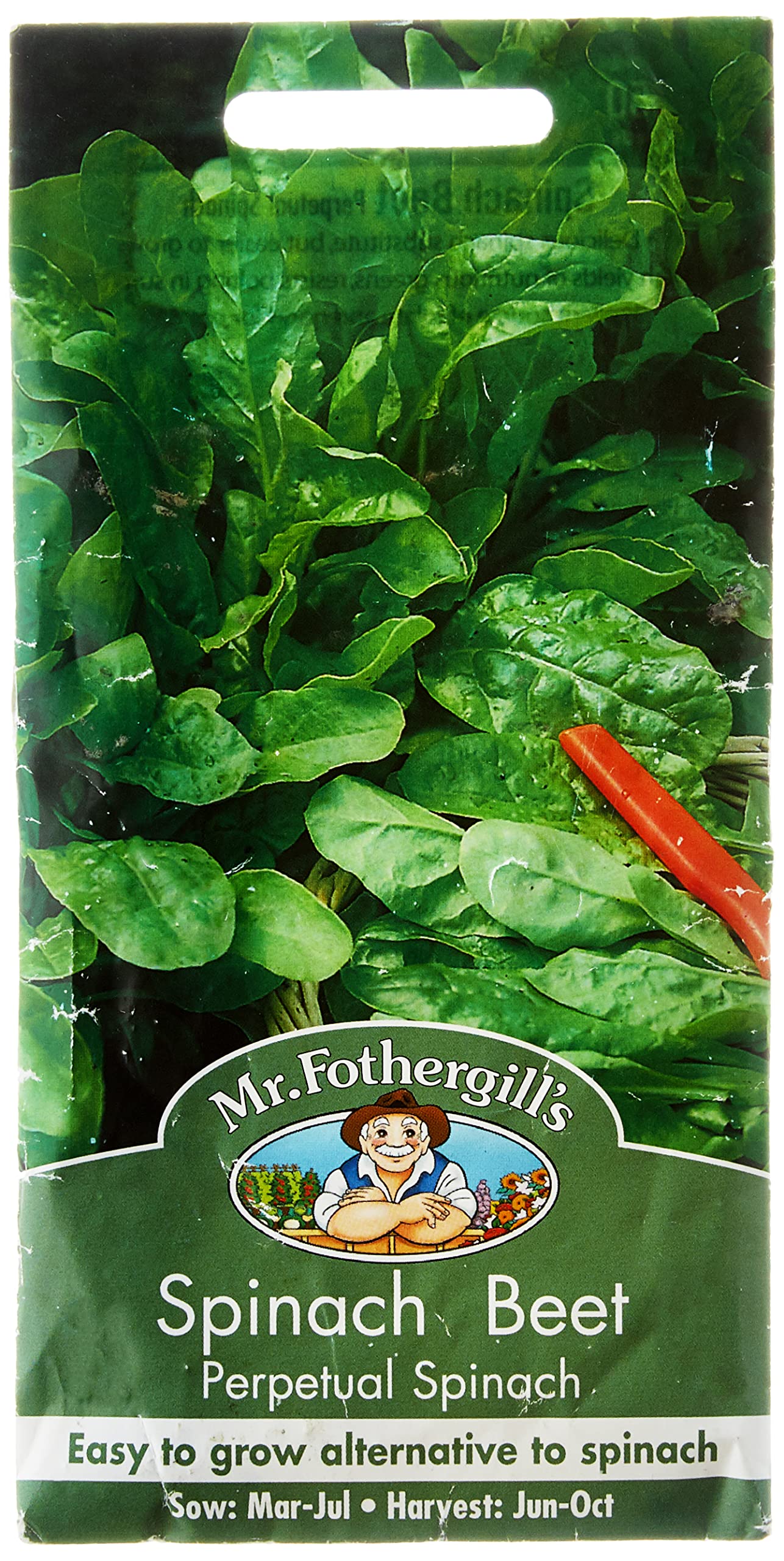 Mr Fothergill's Spinach Beet Perpetual Spinach