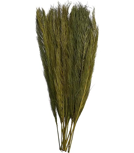 Amazon.com: Deco 79 Dried Plant Palm Leaf Home Decor Natural