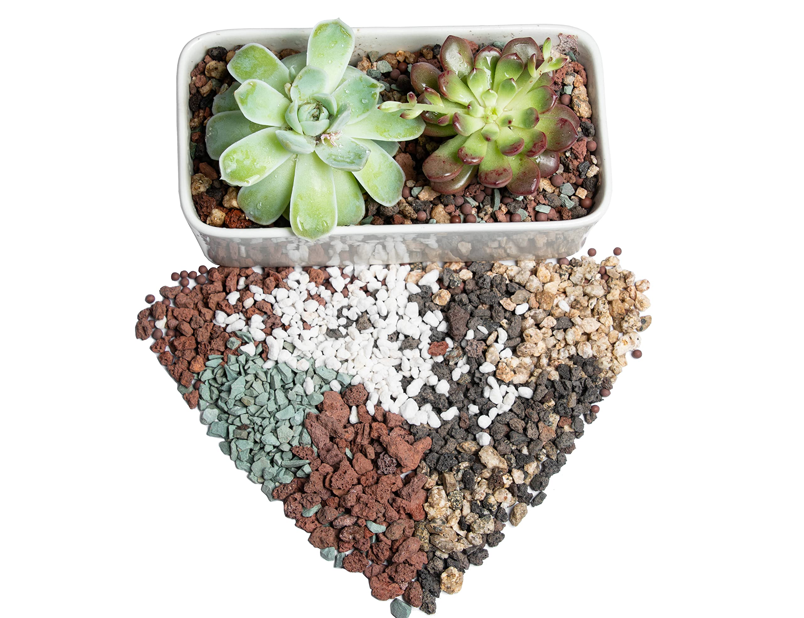 Mua Bonsai Succulent Soil Potting Mix Ready to use Azalea Orchid Grow ...