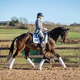 Spillers Digest+ Conditioning Horse Feed Cubes 20kg High Fibre Oil view 5