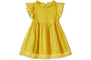 Niyage Toddler Girls Elegant Lace Pom Pom Flutter Sleeve Party Princess Dress