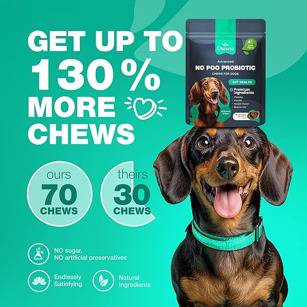COPROPHAGIA DETERRENT – NO POO CHEWS FOR DOGS – DOG PROBIOTICS FOR DIGESTIVE HEALTH WITH ENZYMES – CANINE STOOL EATING DETERRENT – DIGESTIVE, DENTAL, GUT & IMMUNE HEALTH TREATS – NO POOP EATING