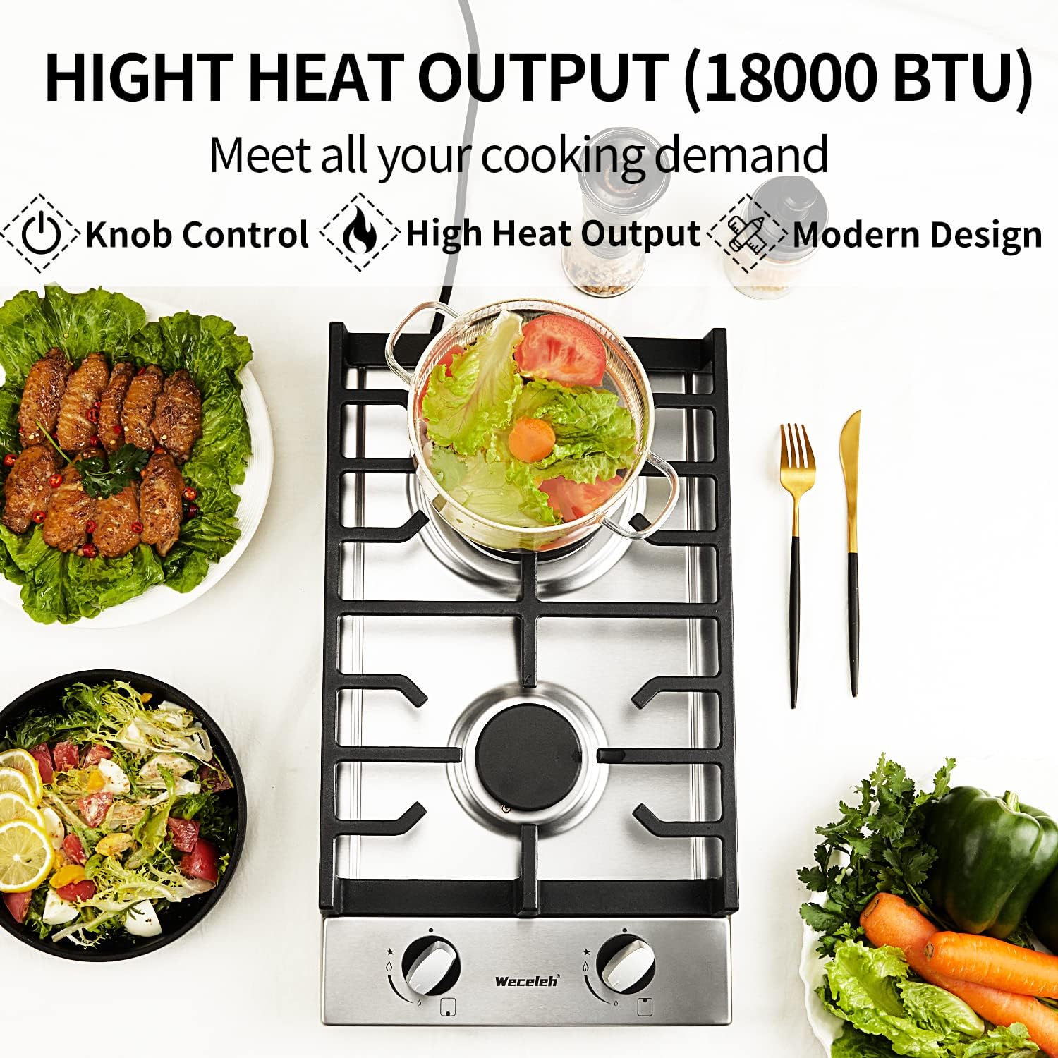 Gas Cooktop 2 Burners Built-in Gas Stove Top,LPG/NG Dual Fuel Continuous Grates,Auto Ignition,Thermocouple Protection,Stainless Steel,Heavy Duty Cast Iron 120V (12 inch)