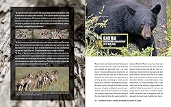 The Complete Guide to Hunting, Butchering, and