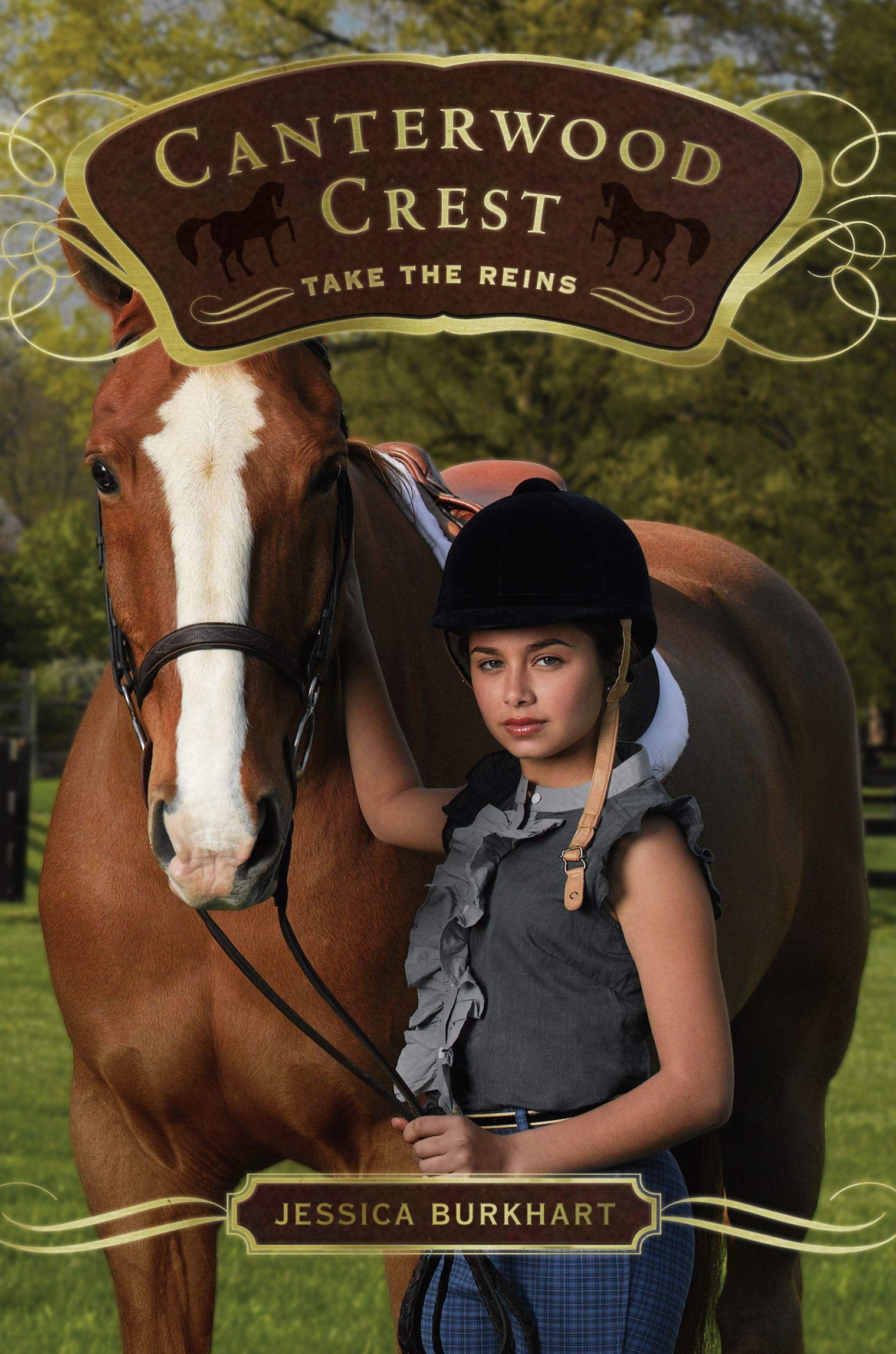 Take The Reins (Canterwood Crest #1) (9781416958406)