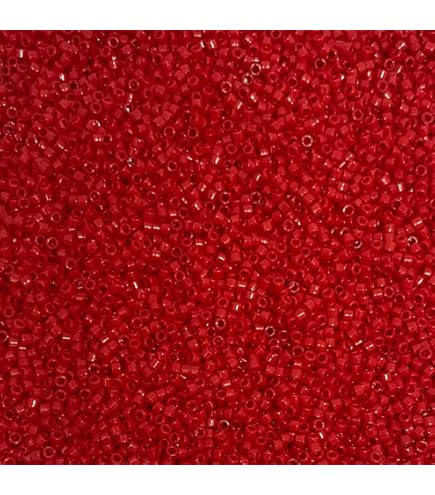 Amazon.com: Miyuki Delica Seed Beads 11/0