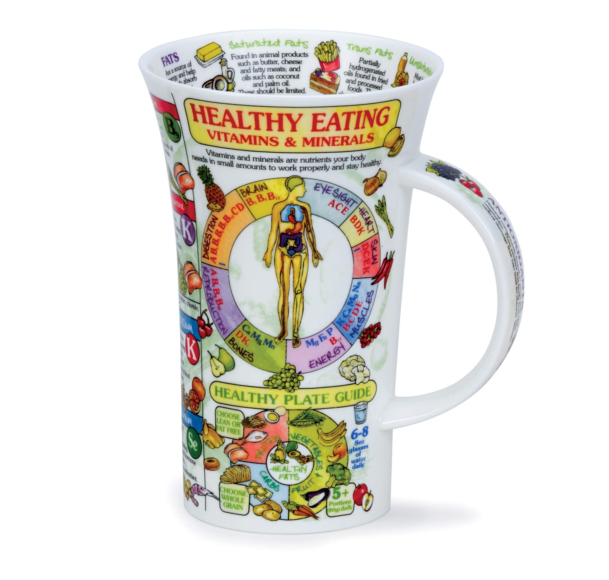 Dunoon Fine Bone China Glencoe Shape Biology Mug - Made in England (Healthy Eating)