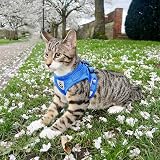 Anlitent Soft Mesh No Pull Cat Harness and Lead Set Blue Small view 9