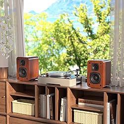 Saiyin Bluetooth Bookshelf Speakers, Record Player