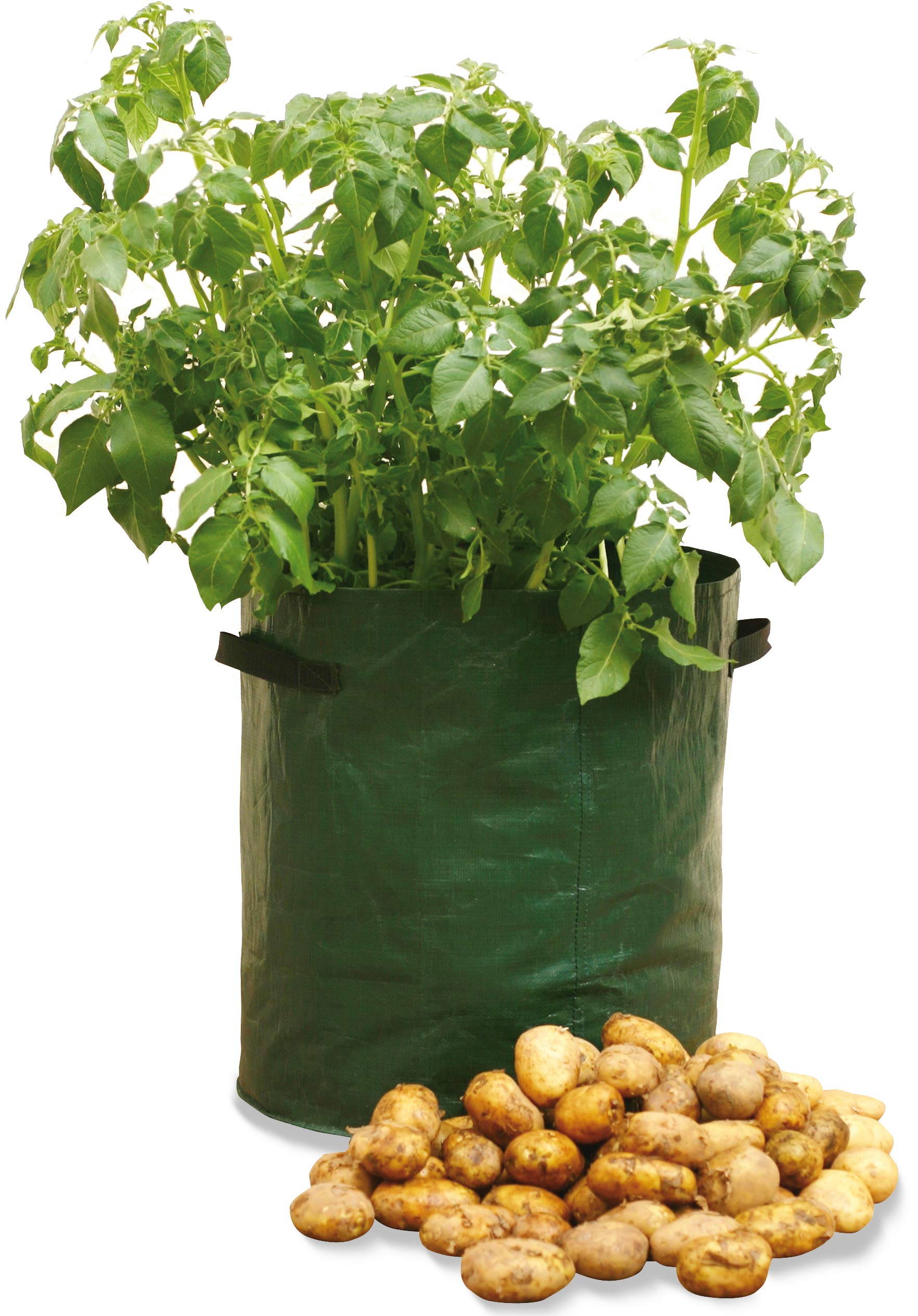 Haxnicks 3 x Potato Patio Garden Planters | Reusable Potato Grow Bags | Easy No Dig Potato Growing | Reinforced Handles | Drainage Holes | Small Garden | 3 Pack, Green 35 x 35 x 45 cm | Planter010101
