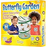 Insect Lore - Butterfly Growing Kit - With Voucher to Redeem Caterpillars Later