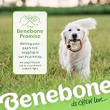 Benebone Ring Chew Toy for Large Dogs Real Bacon Flavour USA Made view 6