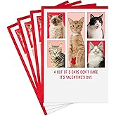 Hallmark Shoebox Pack of 4 Funny Valentines Day Cards (Cats Don't Care)