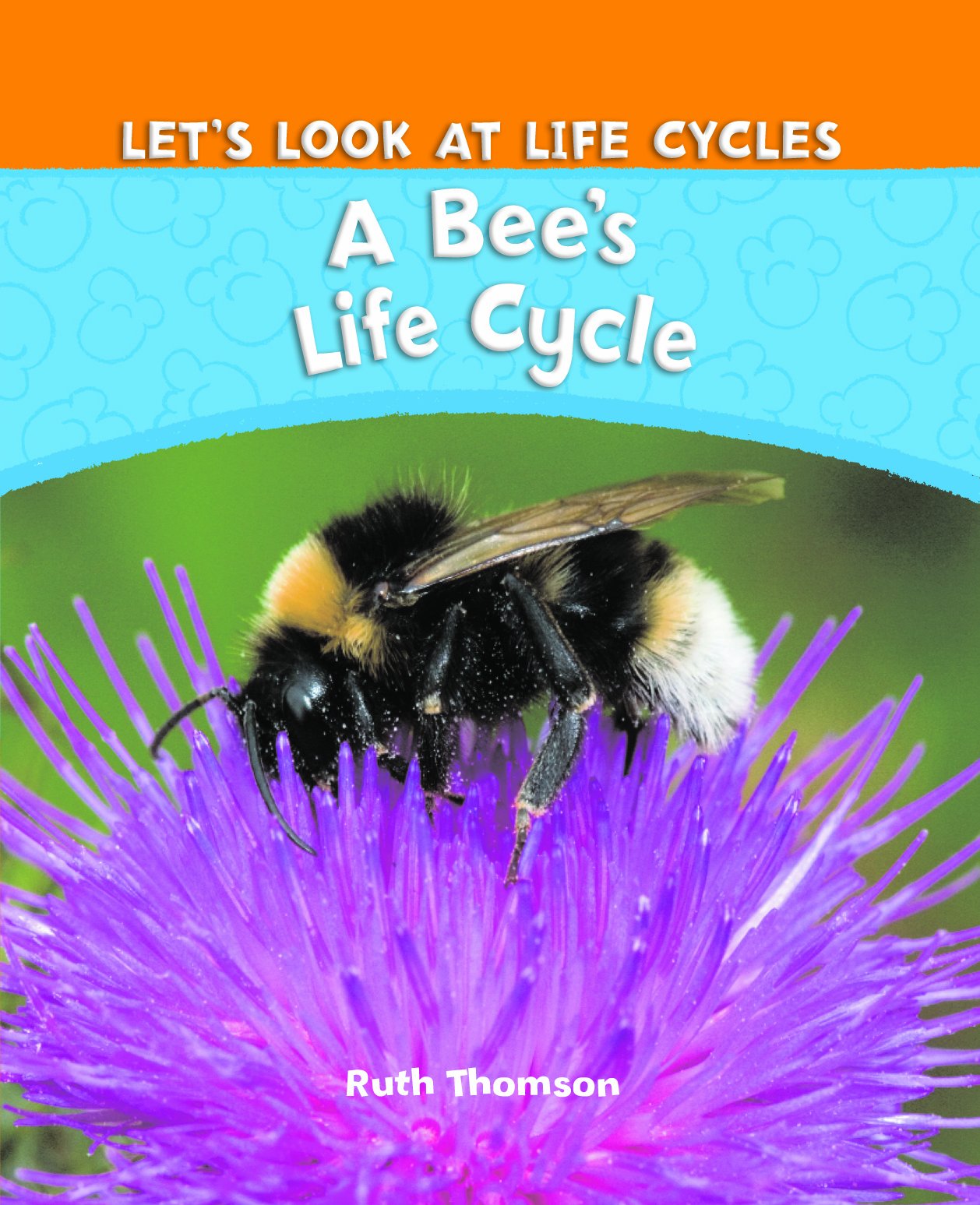 life cycles 2010