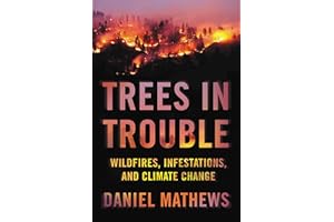 Trees in Trouble: Wildfires, Infestations, and Climate Change