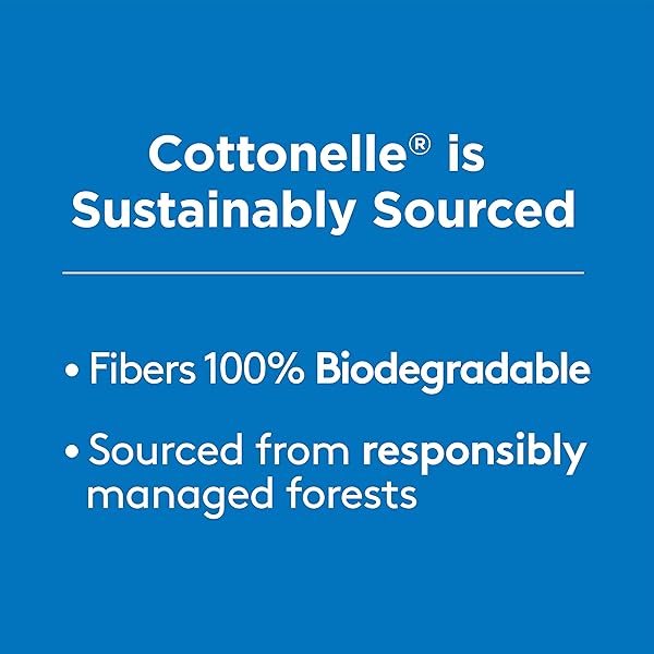 COTTONELLE FLUSHABLE WET WIPES FOR ADULTS, 1 FLIP-TOP PACK, 42 WIPES, ALCOHOL-FREE, PLASTIC FREE