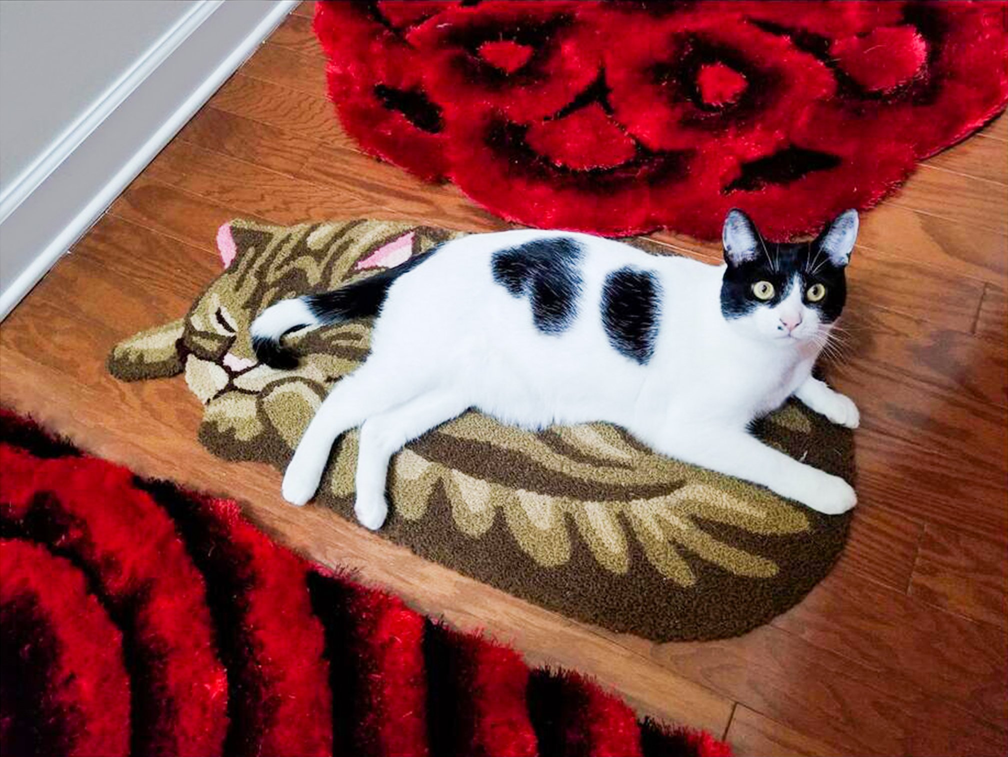 Hughapy Brown Cute Sleeping Cat Shaped Mat Bedroom Area Rug, Christmas