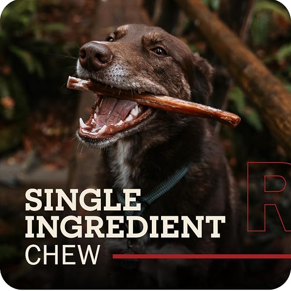 REDBARN PET PRODUCTS ALL NATURAL 5″-8″ BRAIDED BULLY STICKS FOR SMALL & LARGE DOGS – HEALTHY LONG LASTING BEEF CHEWS VARIETY PARTY PACK – SINGLE INGREDIENT LOW ODOR RAWHIDE FREE – 8 OZ BAG