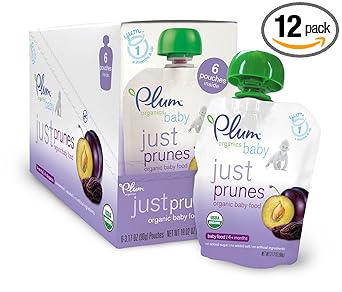 babylo plum travel system reviews