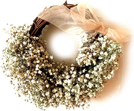 Amazon Lulu S ルルズ かすみ草リース ドライフラワー ナチュラルリース サイズ 縦約16cm 横約18cm 奥行約5 かすみ草リース Lulu S 1405 ドライフラワー オンライン通販 Amazon Lulu S ルルズ かすみ草リース ドライフラワー ナチュラルリース サイズ 縦約16cm 横約18cm 奥行約5 かすみ草リース Lulu S 1405 ドライフラワー オンライン通販