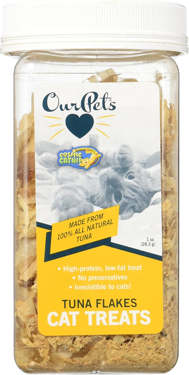 big country cane corso