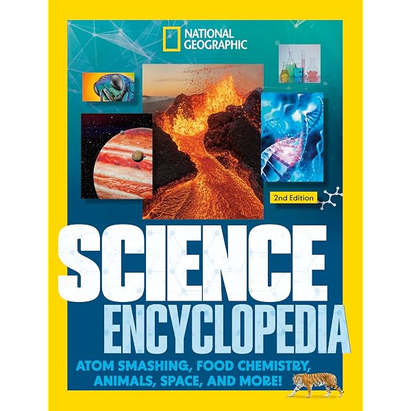 National Geographic Kids Puzzle Book of the World (NGK Puzzle