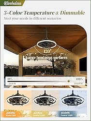 Fanbulous Outdoor Ceiling Fans with Light for