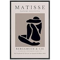 SIGNWIN Framed Canvas Wall Art Boho Decor Illustration Canvas Prints Home Artwork Decoration for Living Room,Bedroom - 16x24 inches