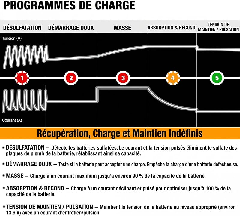 MP00205A 12V 800mA Entièrement Chargeur de Batterie Automatique/Mainteneur pour Voitures, Motos, ATV, RVS, Powersports, Bateau et Plus Encore