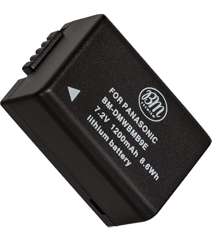 2pcs DMW BMB9 DMW BMB9E DMW BMB9 Battery +LCD Dual Charger for Panasonic Lumix D