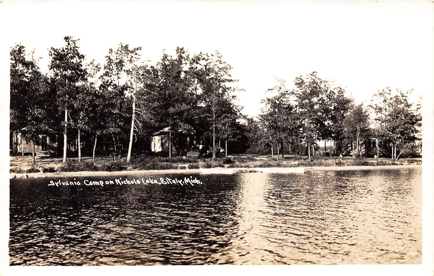 Bitely, Michigan Postcard Real Photo at Amazon's Entertainment